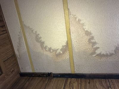 Professional black mold removal services in Melvindale - Melvindale Black Mold Removal